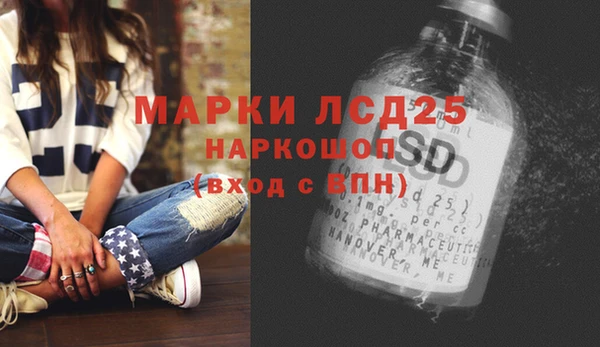 мяу мяу мука Магас