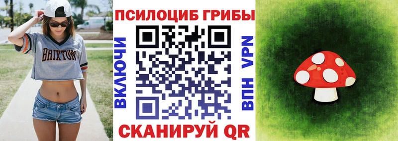 OMG зеркало  Малоархангельск  Псилоцибиновые грибы Psilocybe 